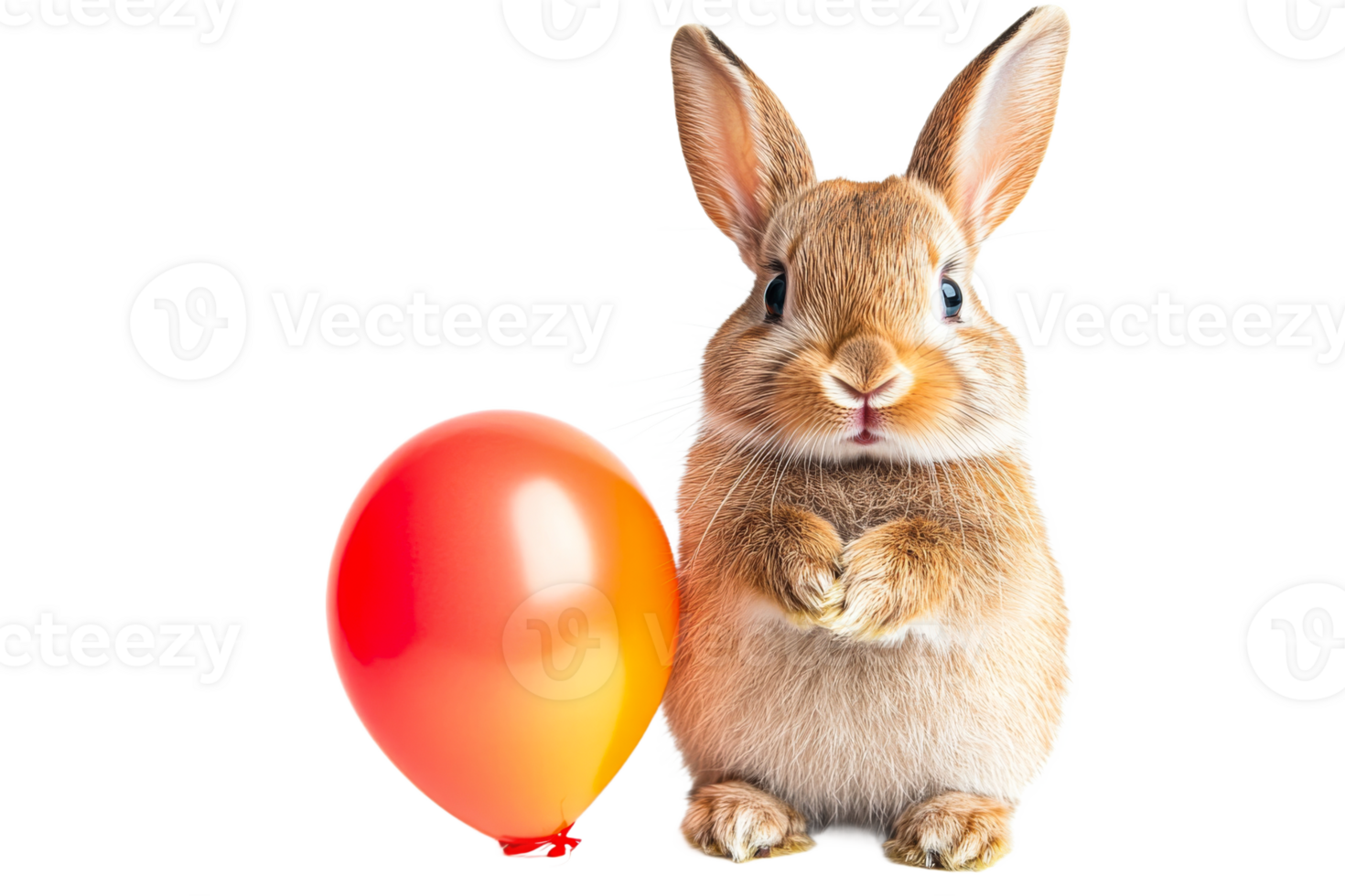 Cute rabbit with balloon in a playful pose png