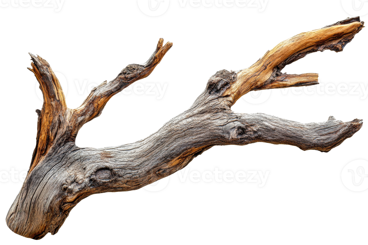 Unique driftwood branch with intricate textures and colors png