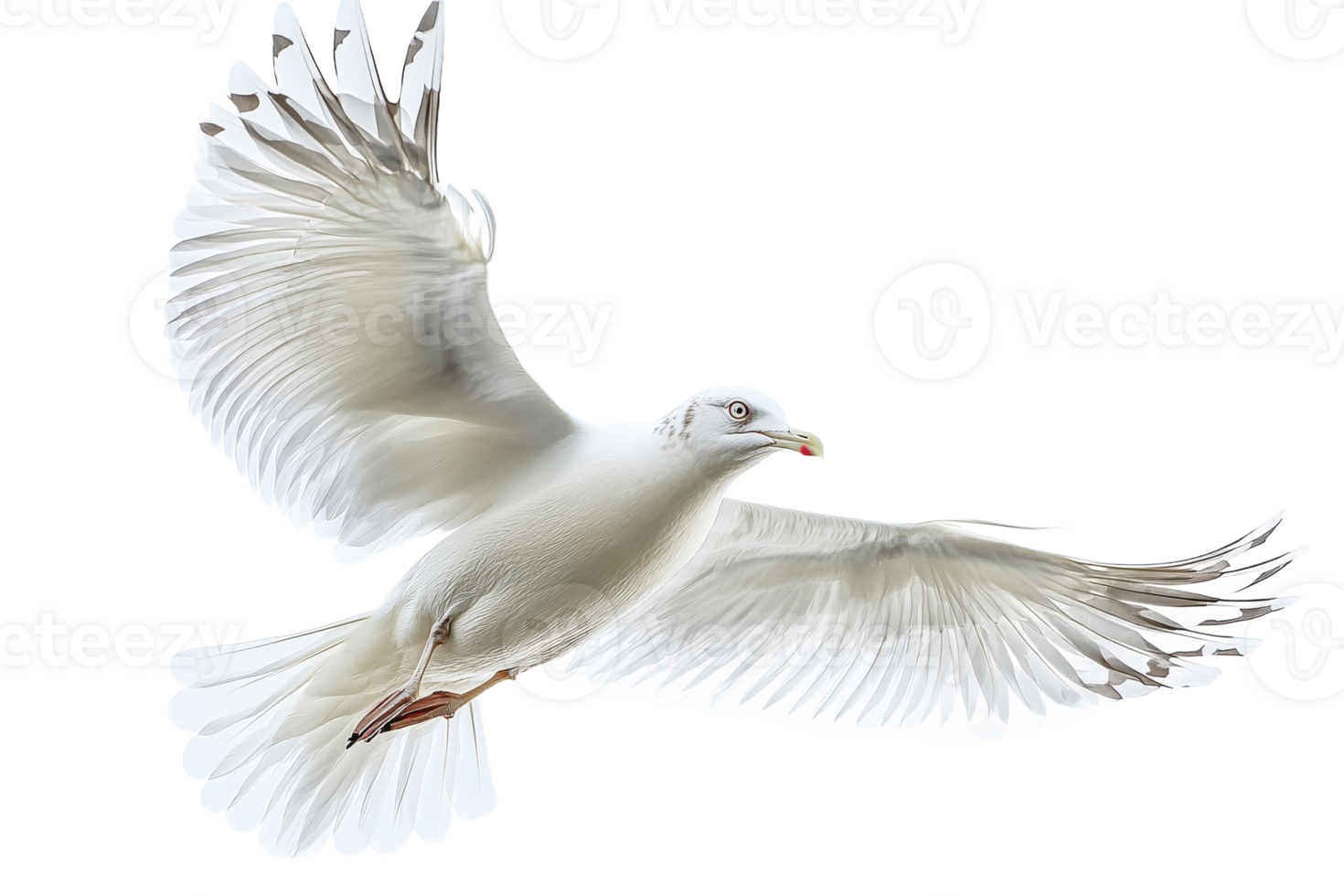 White bird in flight against transparent background png