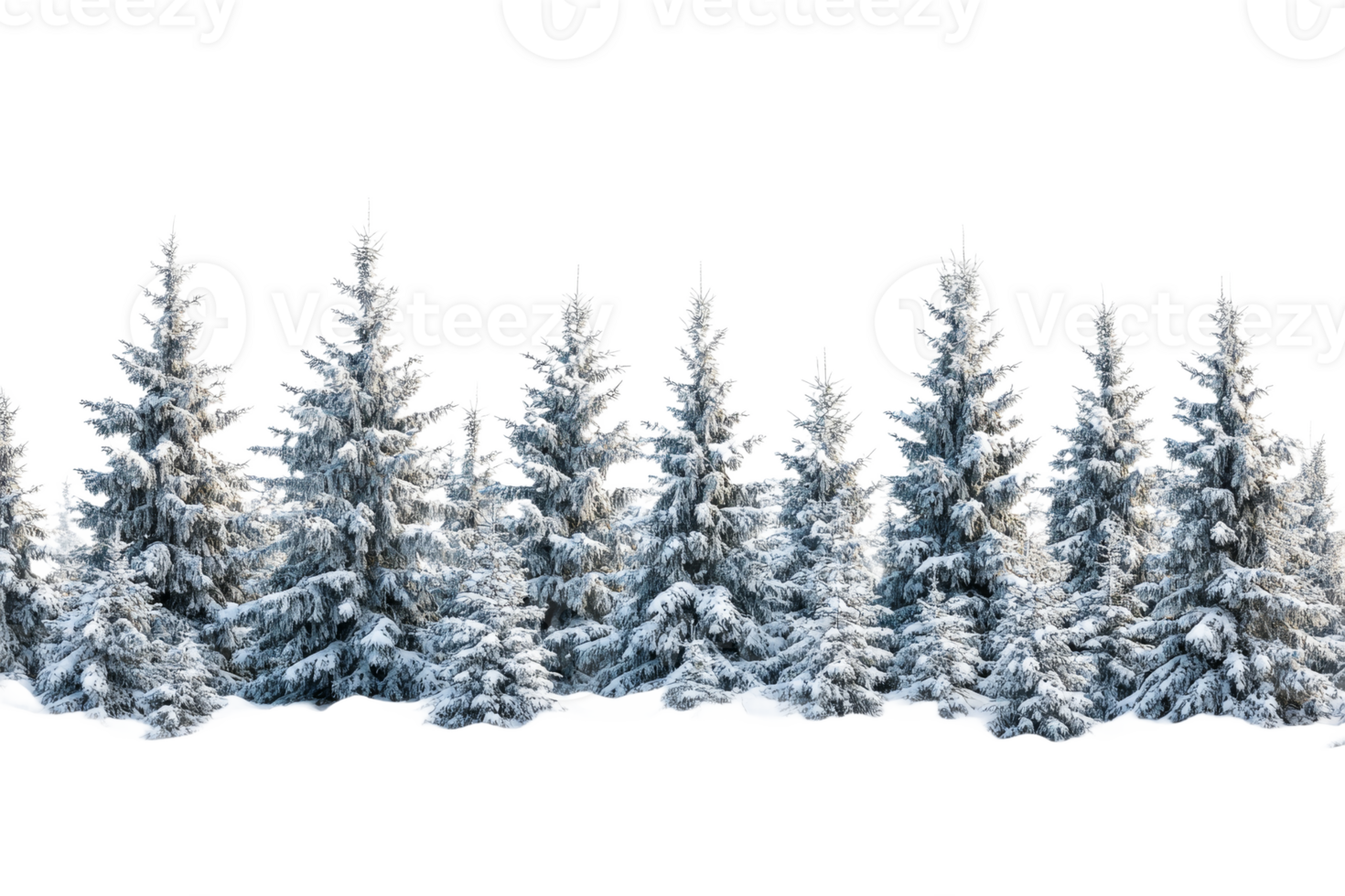 Snow covered conifer trees create a winter landscape png