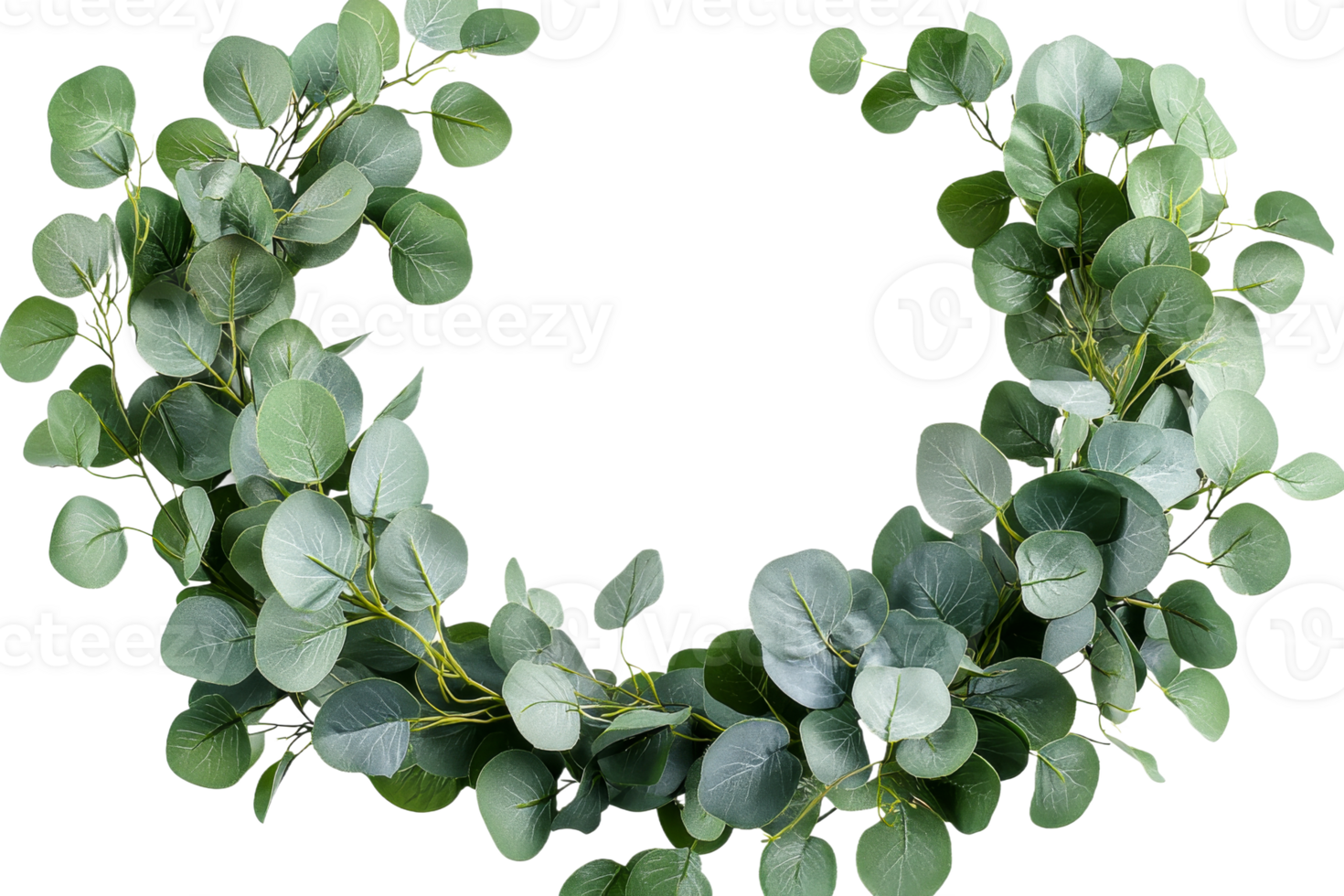 Beautiful green foliage wreath with transparent background png