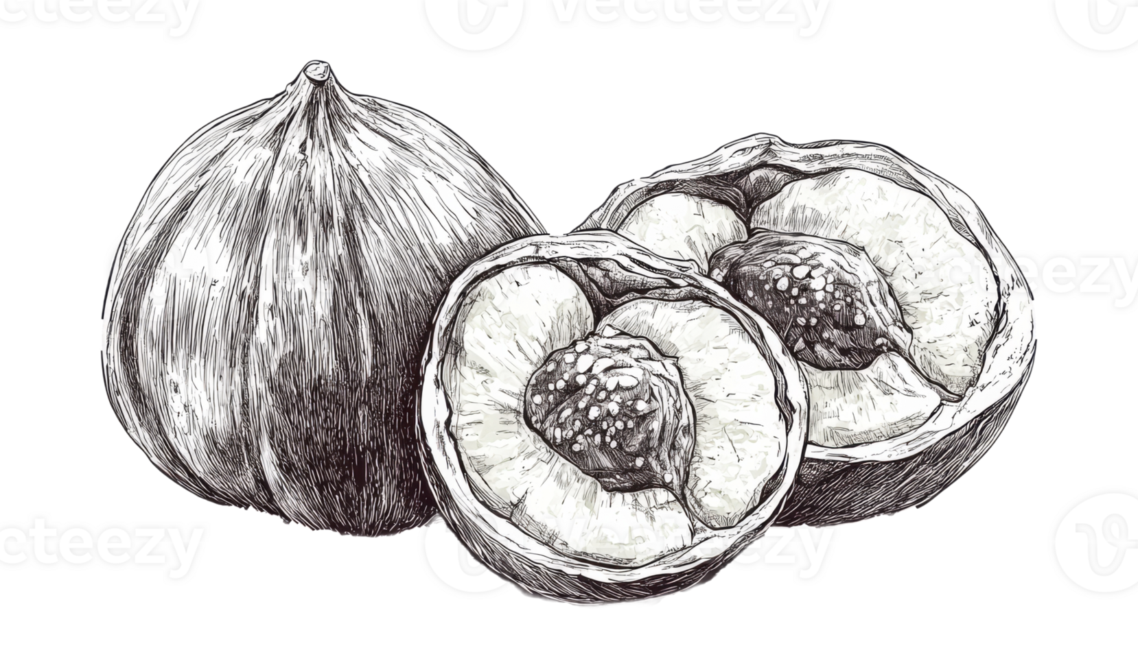 Detailed drawing of ripe fruit with transparent background png