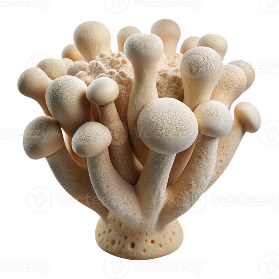 stunning creative Mycelium Biodegradable Material White Background Isolated detailed png