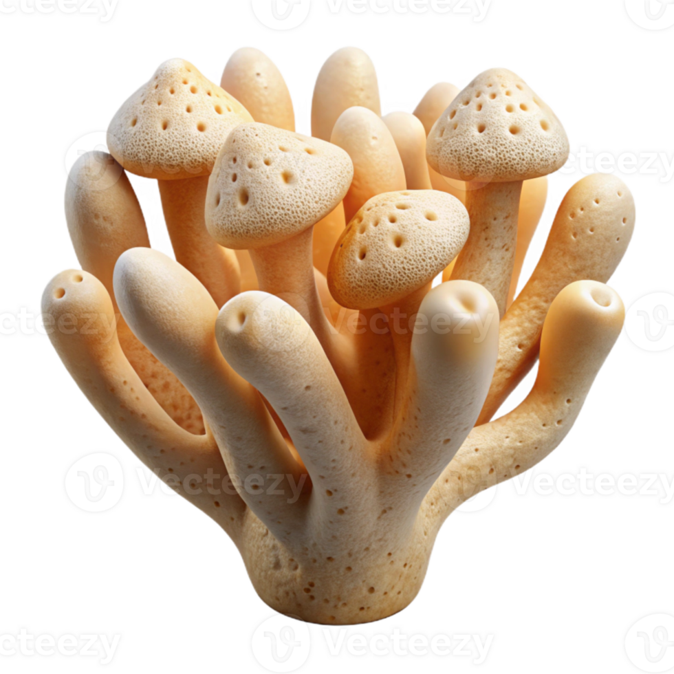 extraordinary classic Mycelium Biodegradable Material White Background Isolated genuine png