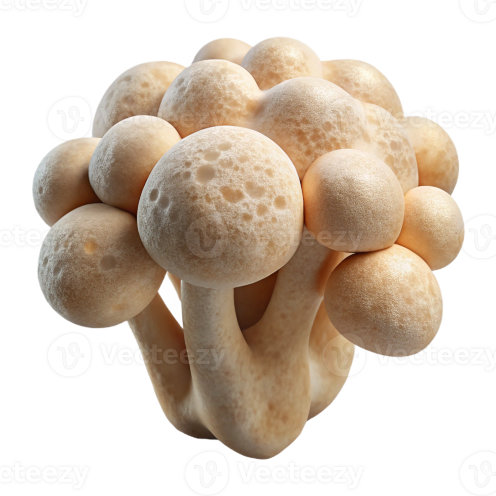 extraordinary rustic Mycelium Biodegradable Material White Background Isolated professional png
