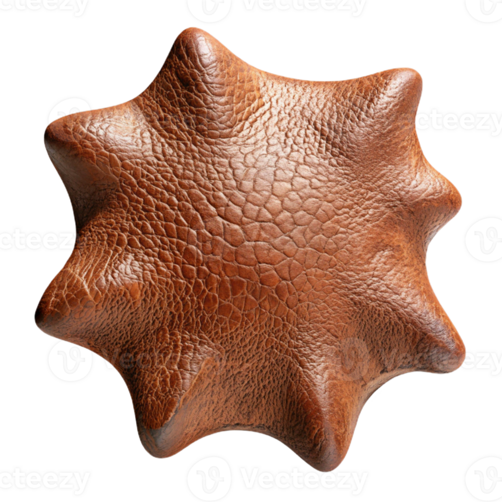 beautiful classic Mycelium Leather Material Textured Surface Isolated detailed png