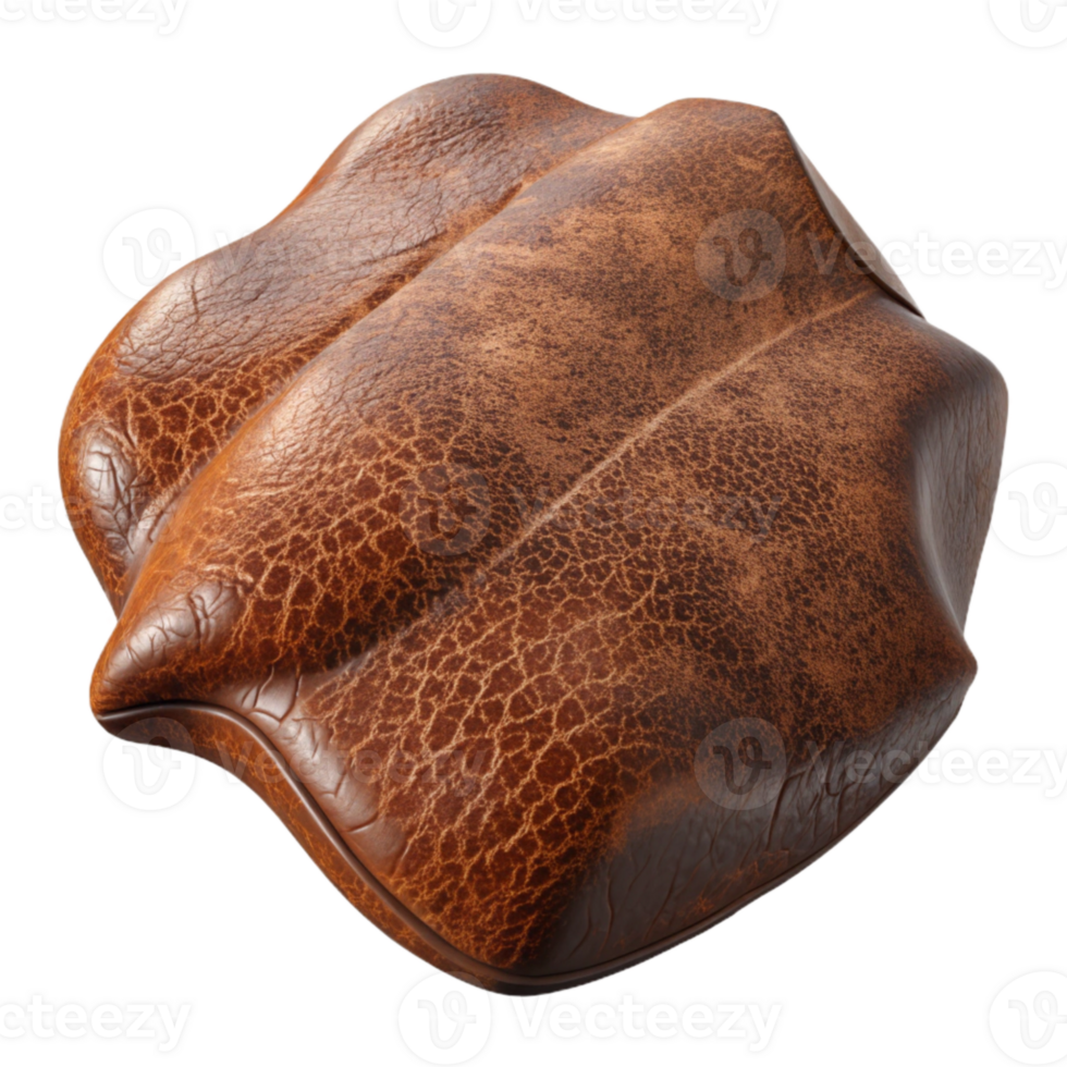 elegant abstract Mycelium Leather Material Textured Surface Isolated authentic png
