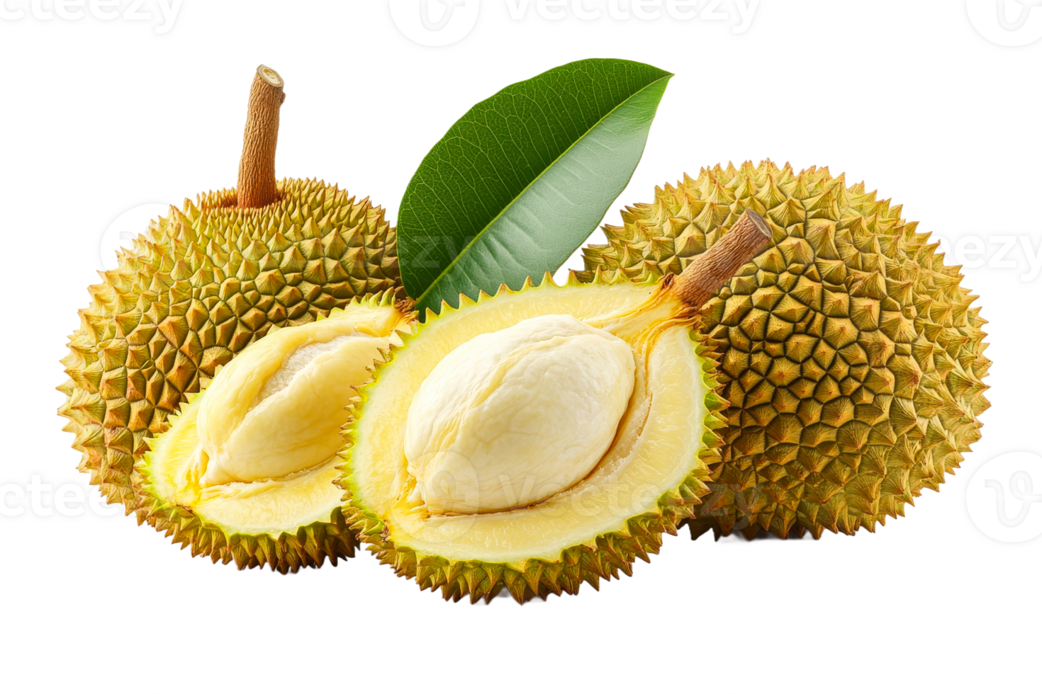 Durian fruits with green leaves on clear background png