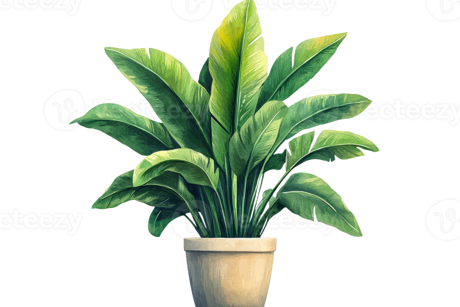 Lush green plant in simple pot with transparent background png
