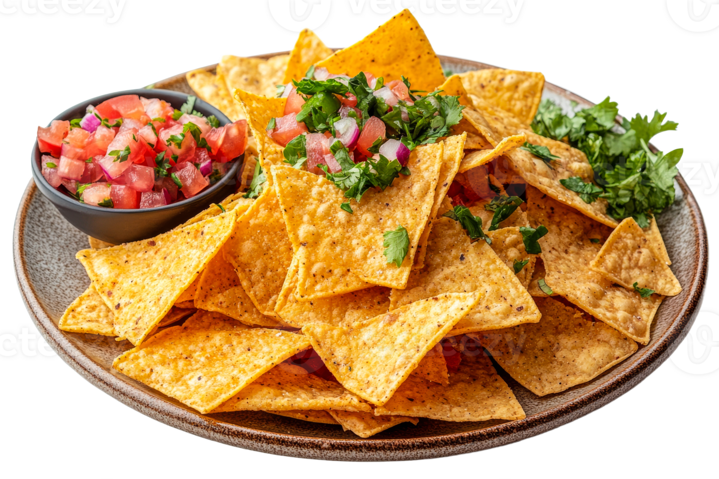 Crispy tortilla chips served with fresh salsa and herbs png