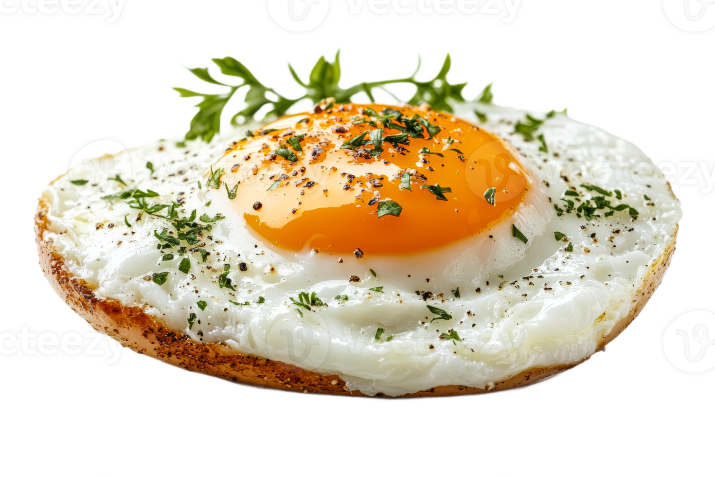 Delicious fried egg with herbs on a toasted slice png