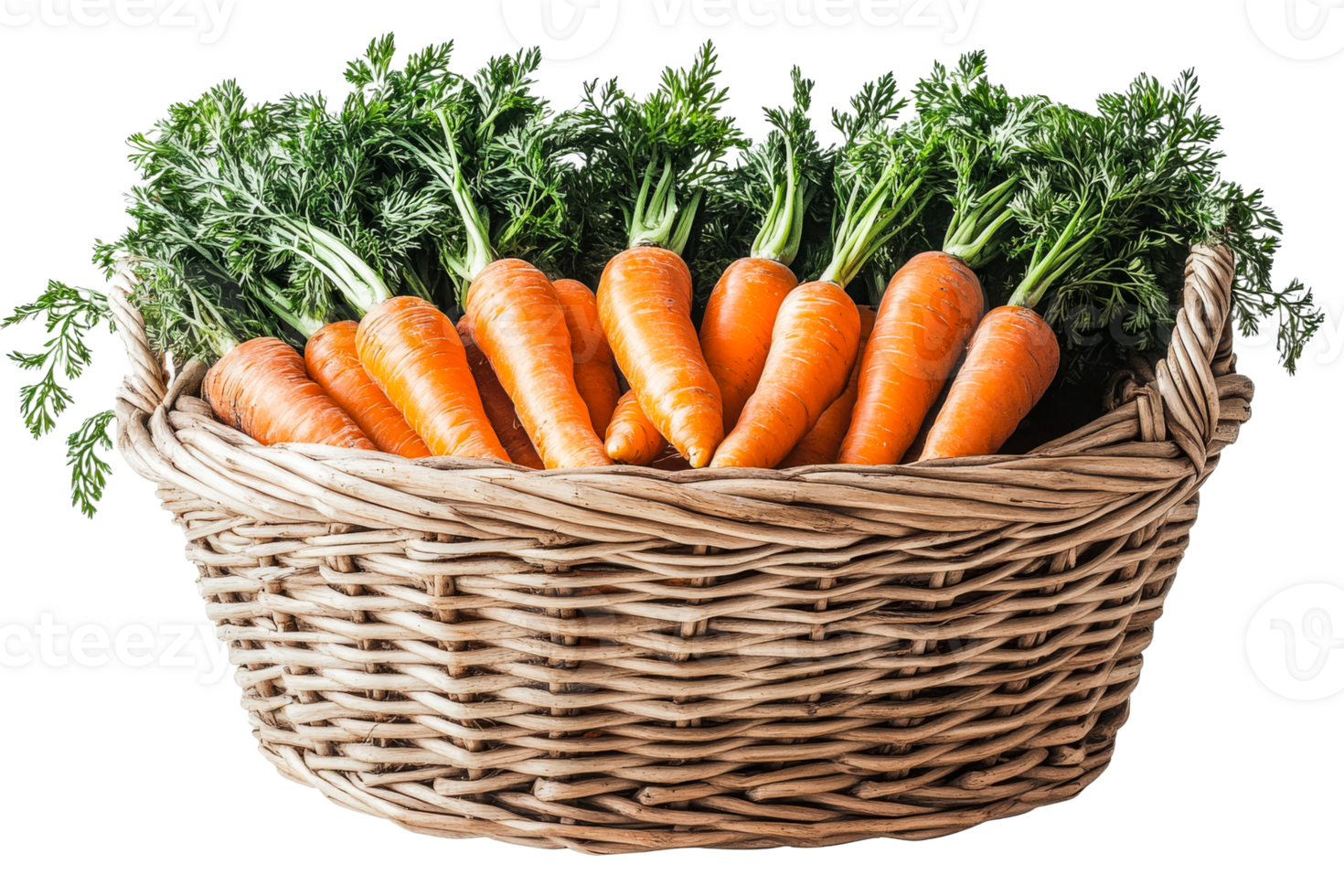 Freshly harvested carrots in a woven basket png