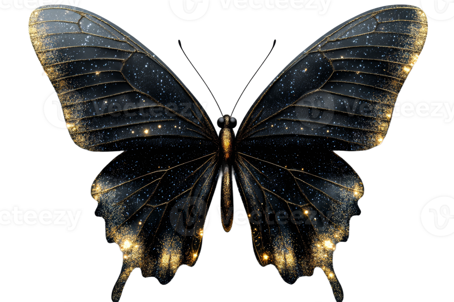 Cosmic black butterfly on clear background png