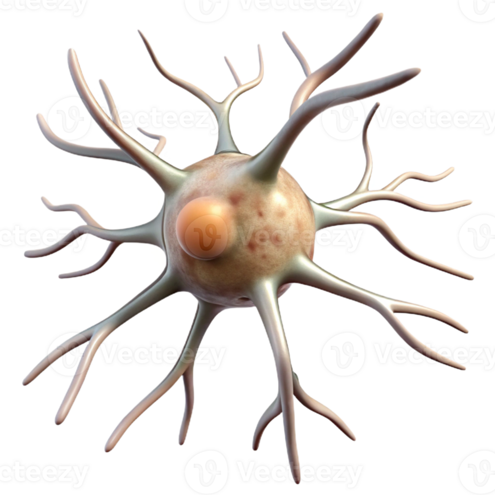 impressive traditional Neuron Growth Timelapse Illustration Transparent Background premium png