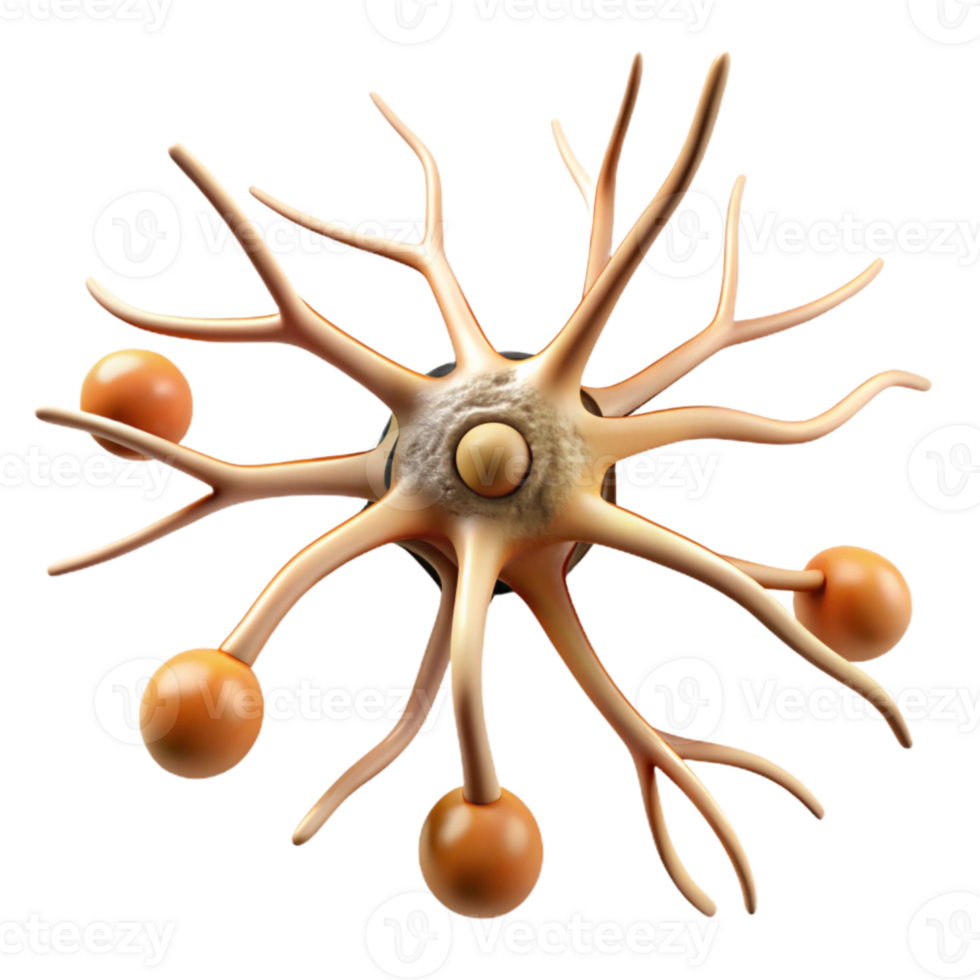 impressive classic Neuron Growth Timelapse Illustration Transparent Background authentic png