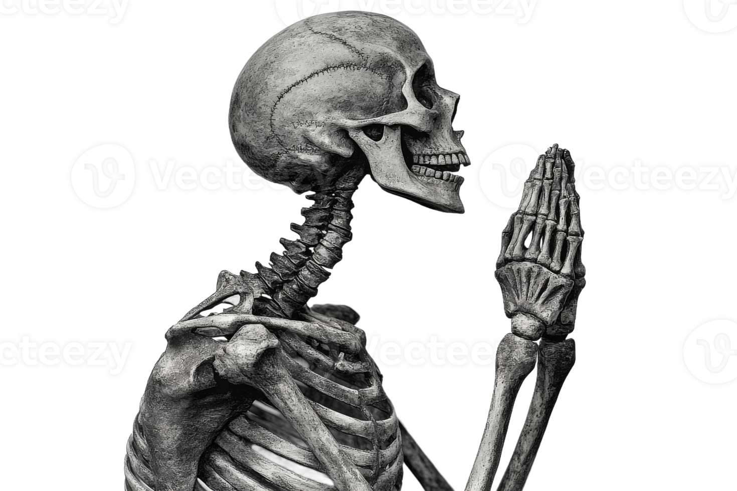 Skeleton in a praying position with transparent background png