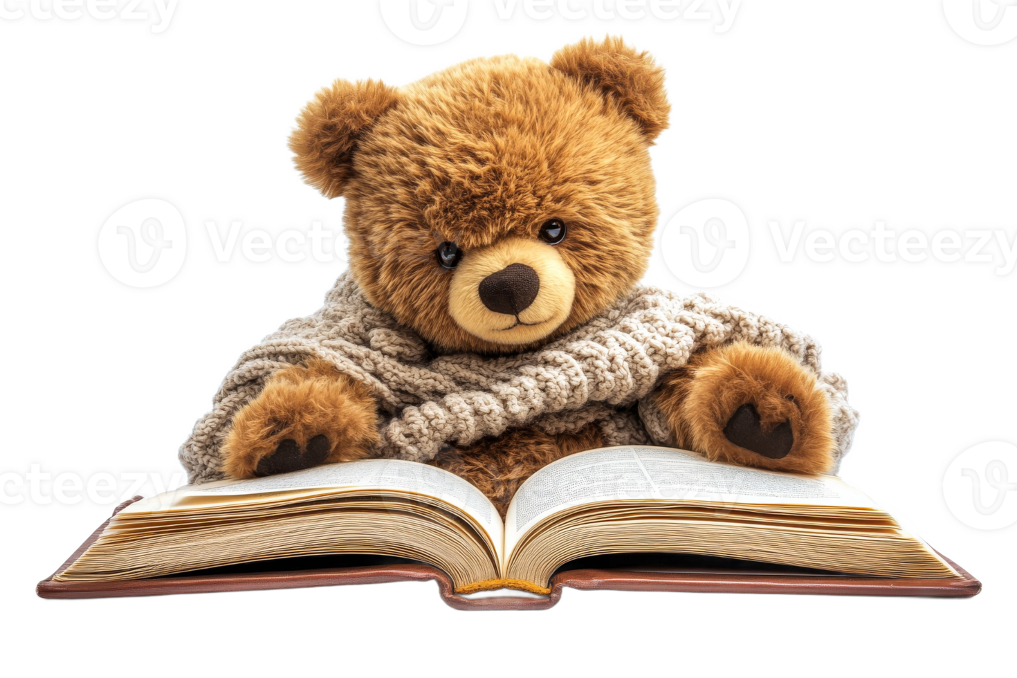 Cute teddy bear reading a book in cozy sweater png