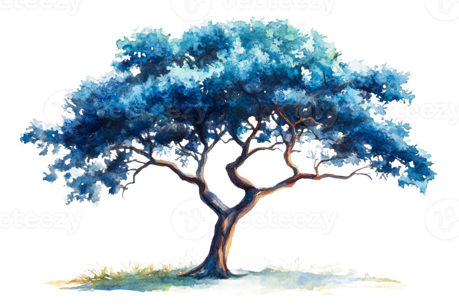Watercolor tree painting on a clear background png