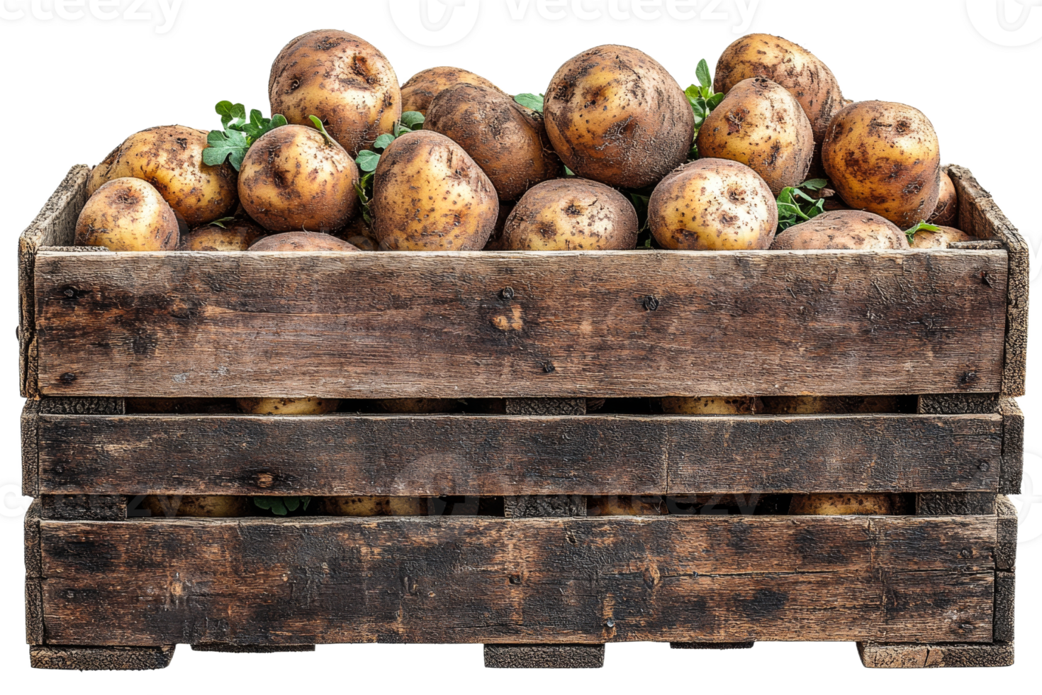 Freshly harvested potatoes in rustic wooden crate png