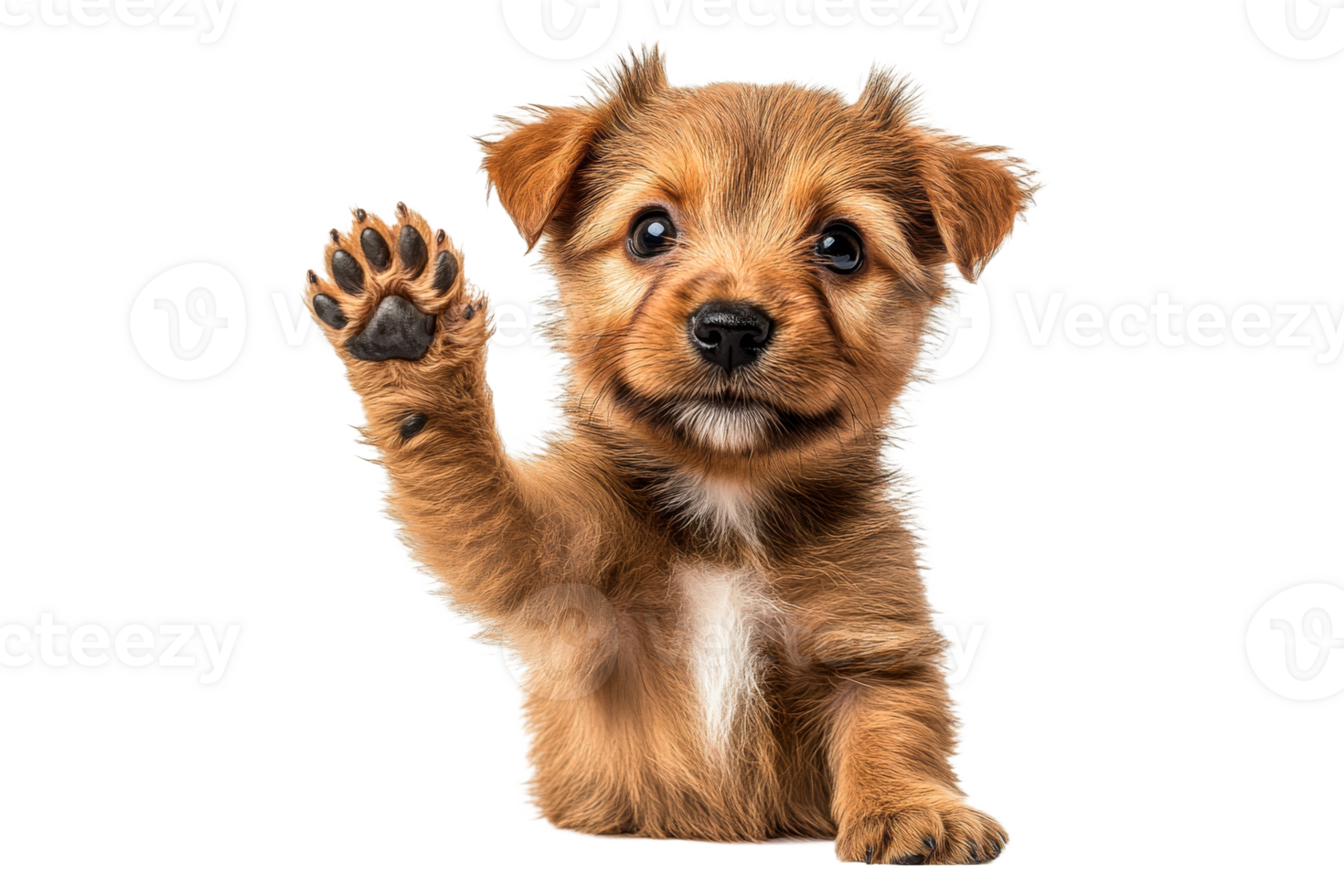 Cute puppy waving hello in a playful pose png