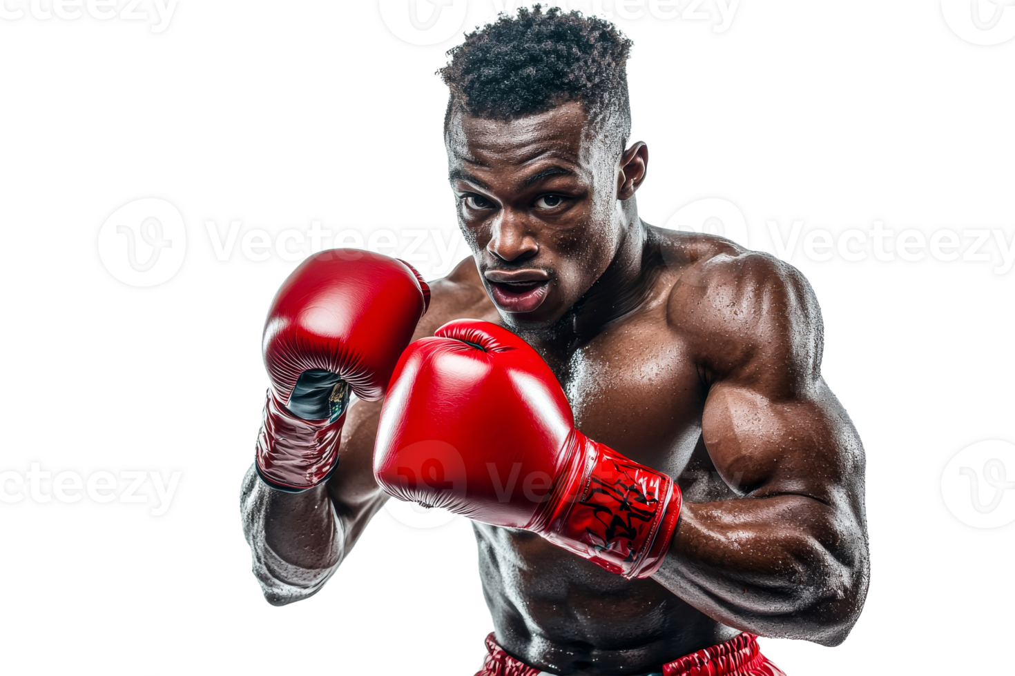 Strong boxer preparing for a match with red gloves png