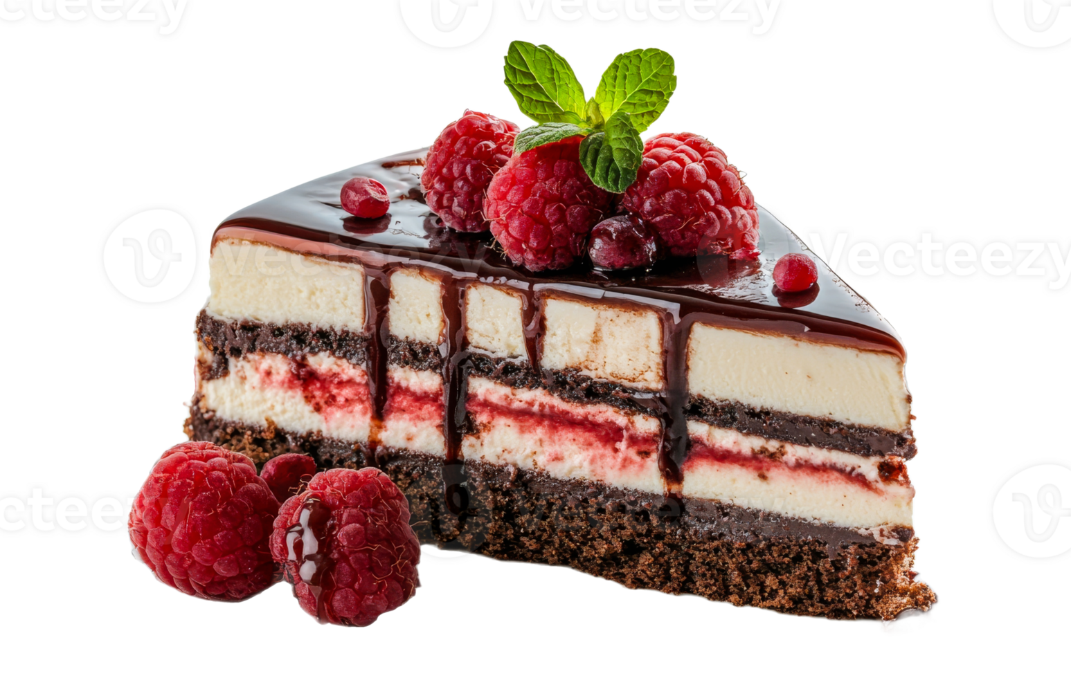 Raspberry chocolate layered dessert on white png
