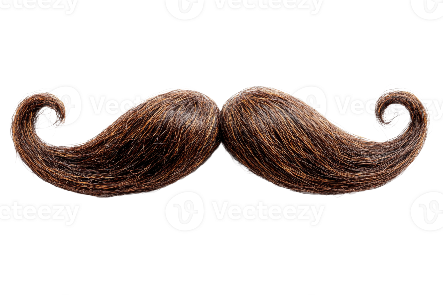 Curly Brown Mustache on Transparent Background png