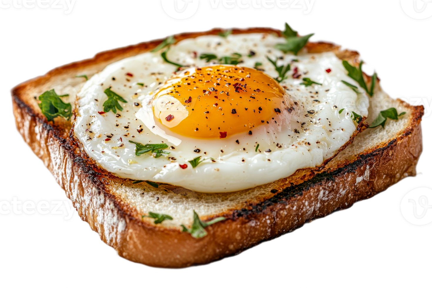 Fried egg on toast with herbs and spices for breakfast png