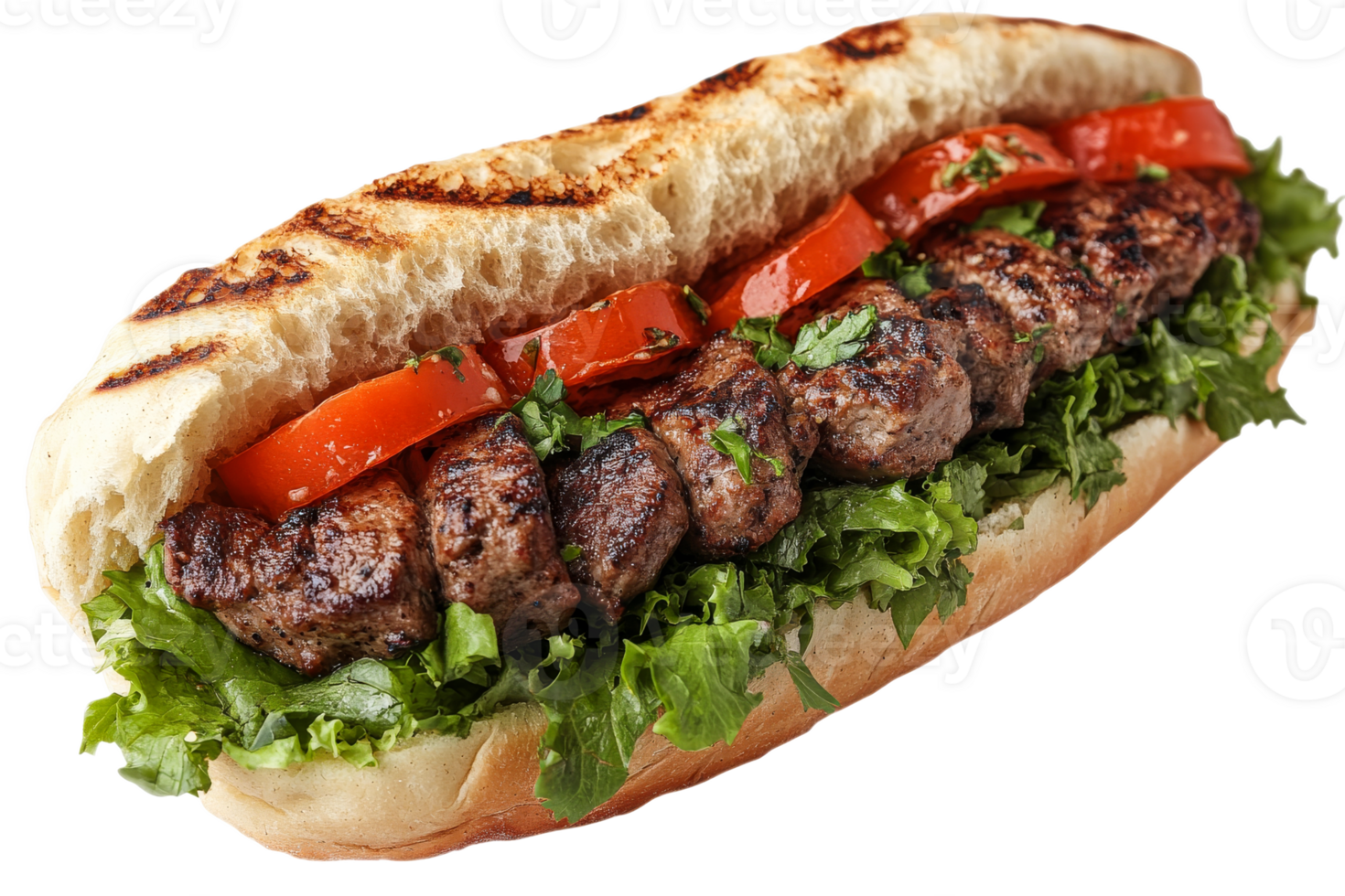 Tasty grilled meat sandwich with fresh veggies png