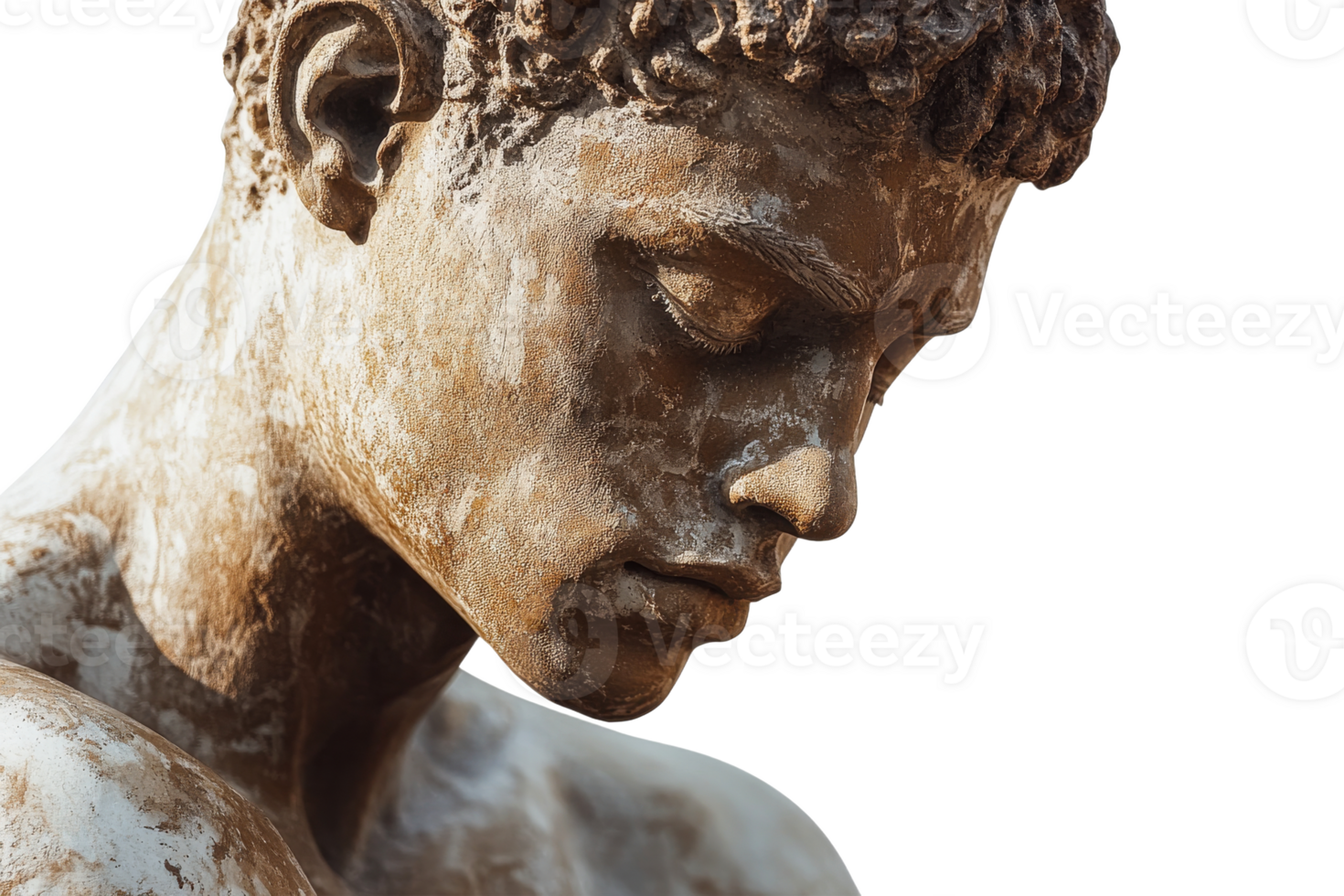 Bust of a male figure with detailed facial features png