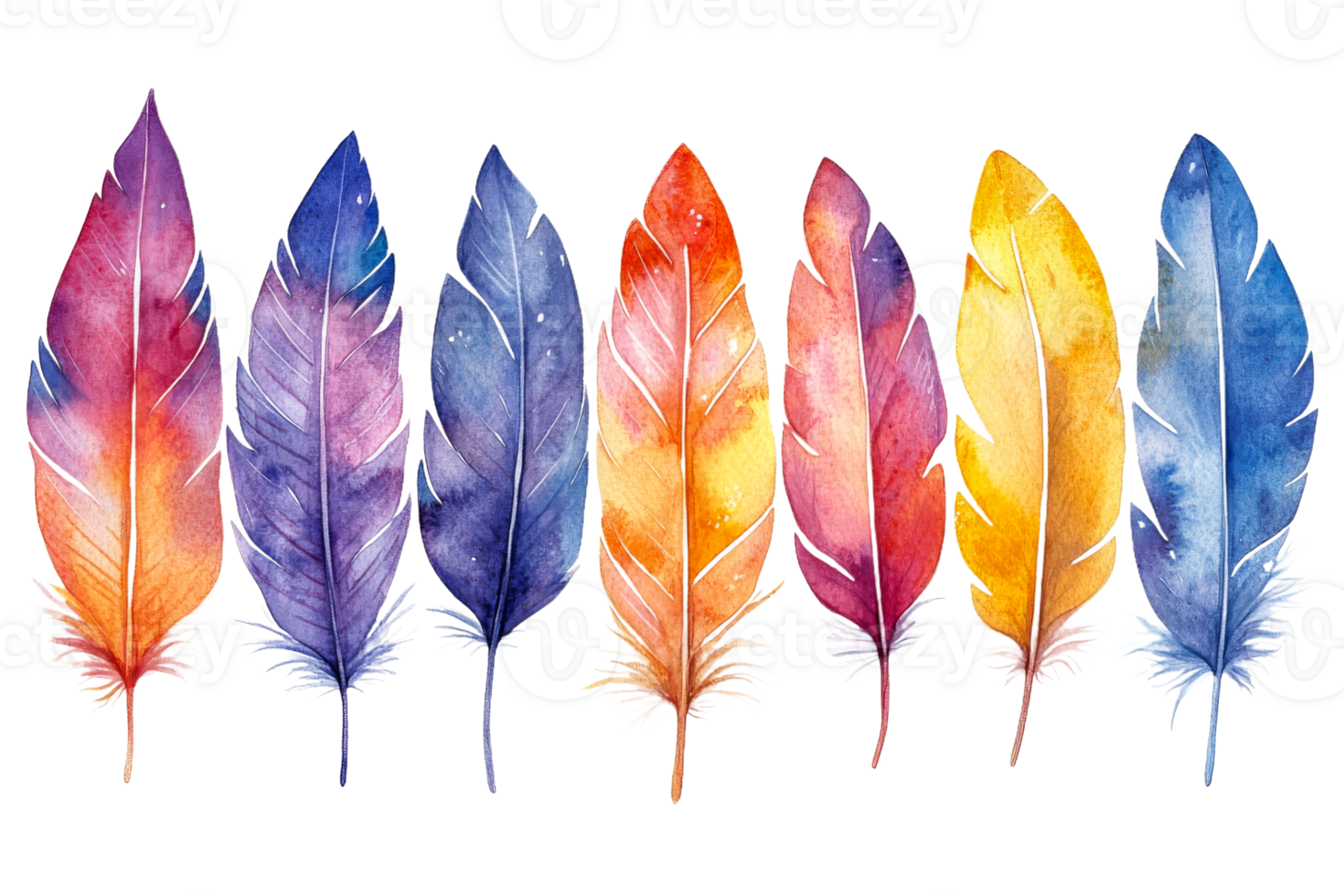 Colorful watercolor feathers arranged in a vibrant display png