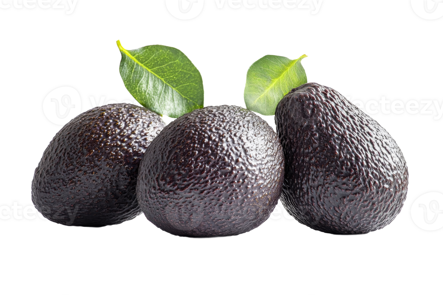 Dark green avocados with leaves on dark background, cut out transparent png