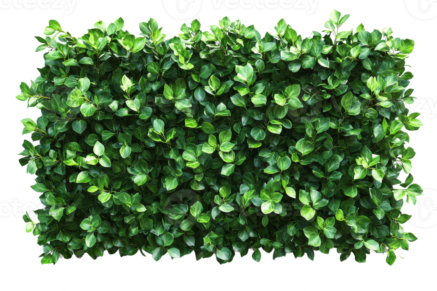 Green Bushy Hedge, Foliage Border, Lush Vegetation, cut out transparent png