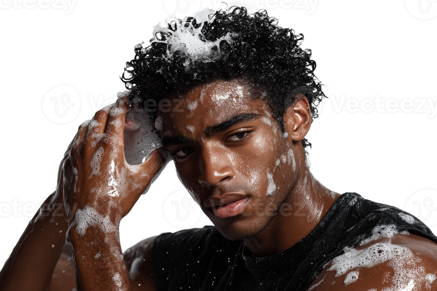 Man washing his hair with soap, looking at camera, cut out transparent png