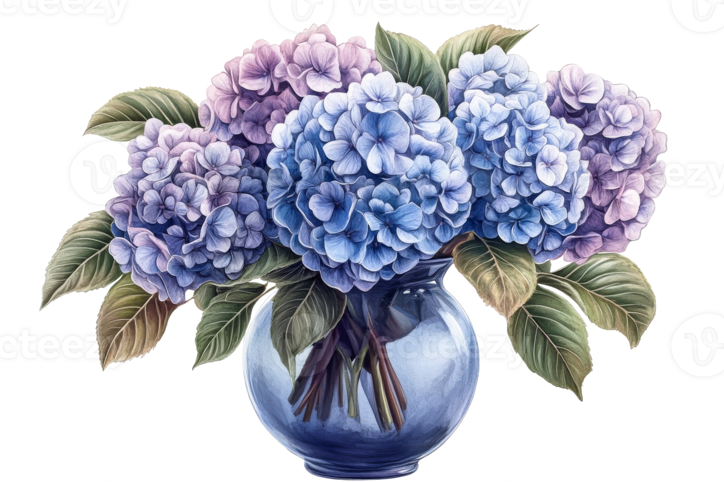 Hydrangea arrangement in glass vase, floral still life, cut out transparent png