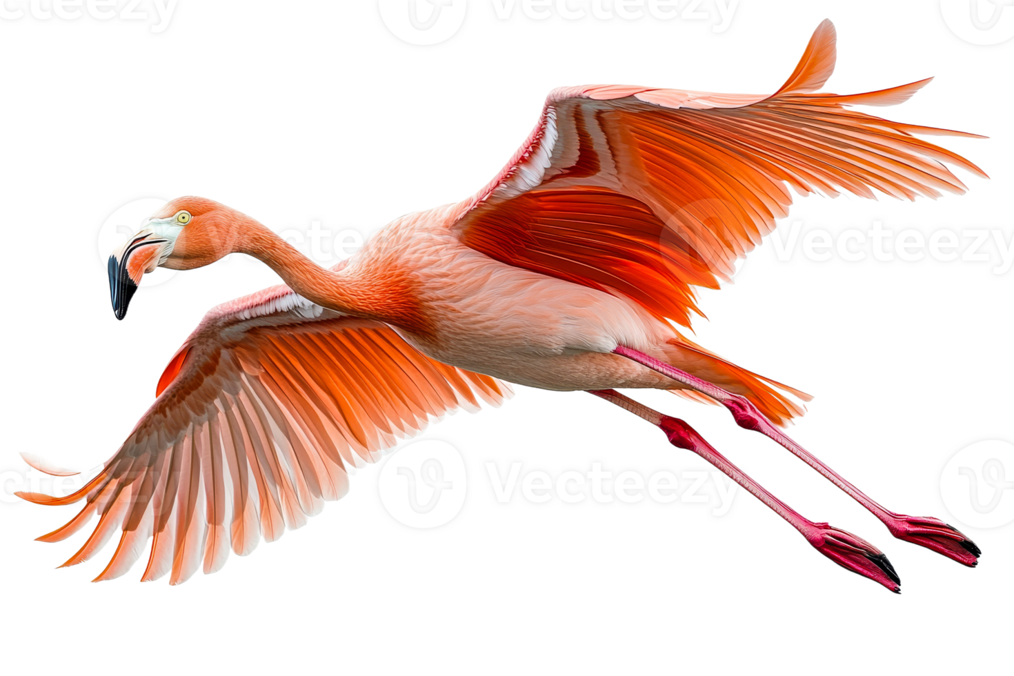 Vibrant flamingo soars gracefully through air, wings extended, cut out transparent png