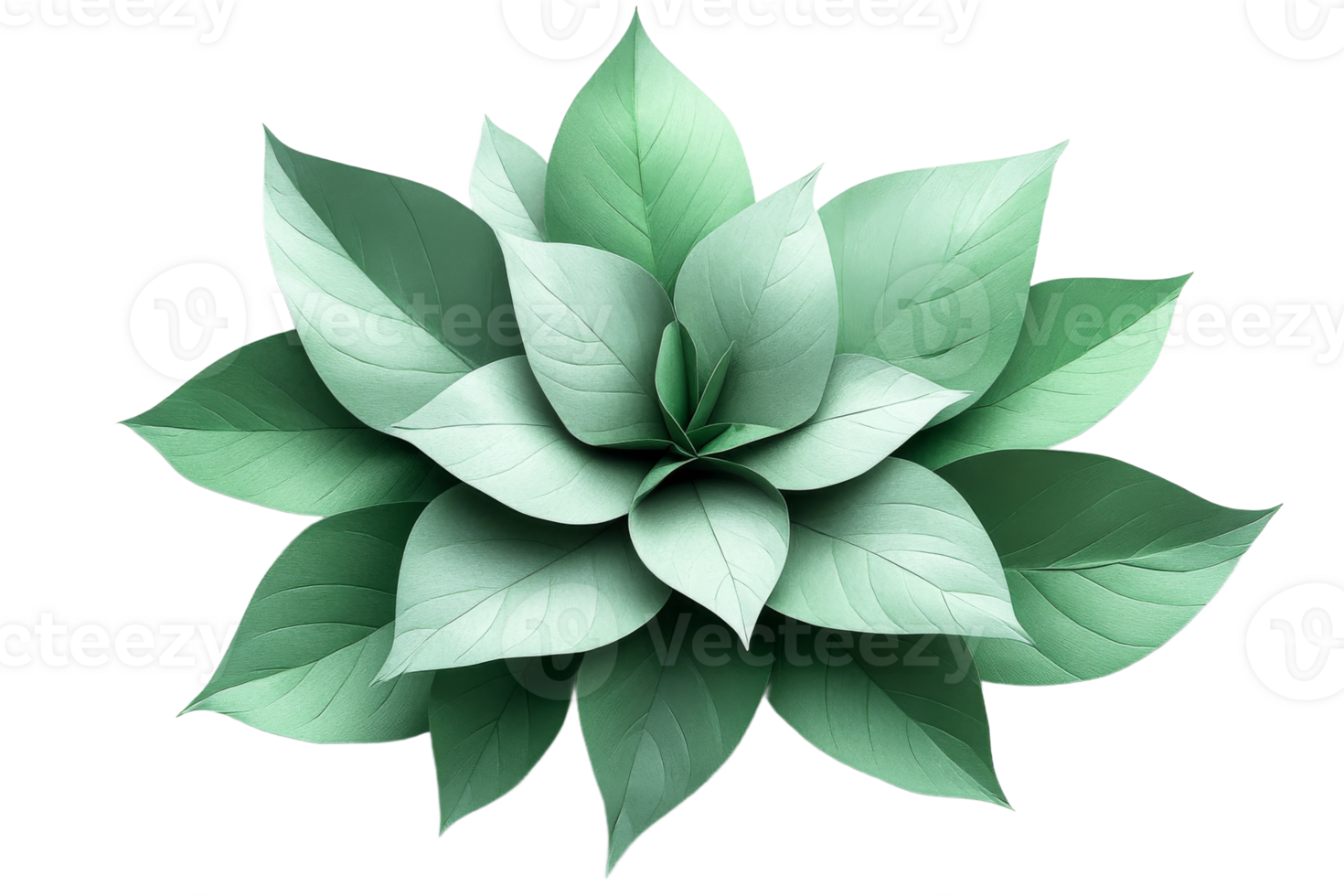 Light green plant leaves symmetrical, organic, aesthetic, cut out transparent png