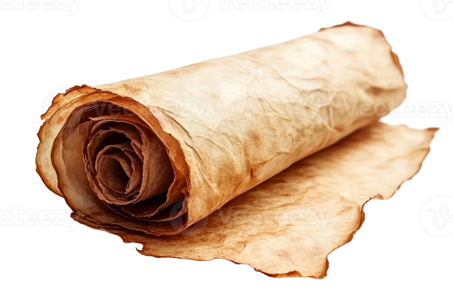 Rolled up old vintage scroll parchment paper texture , cut out transparent png