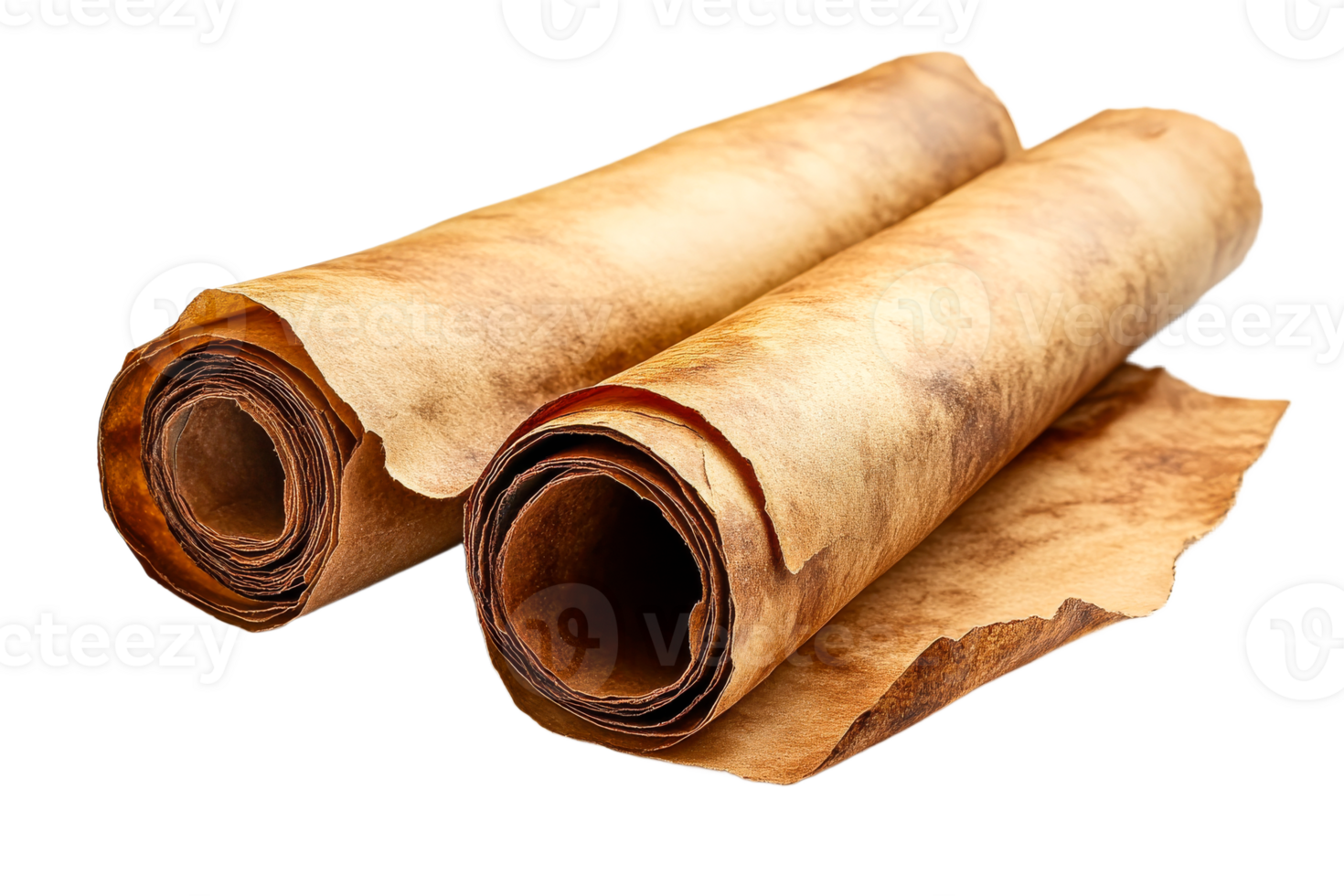 Ancient-looking paper scrolls, vintage manuscript rolls, archival documents, cut out transparent png