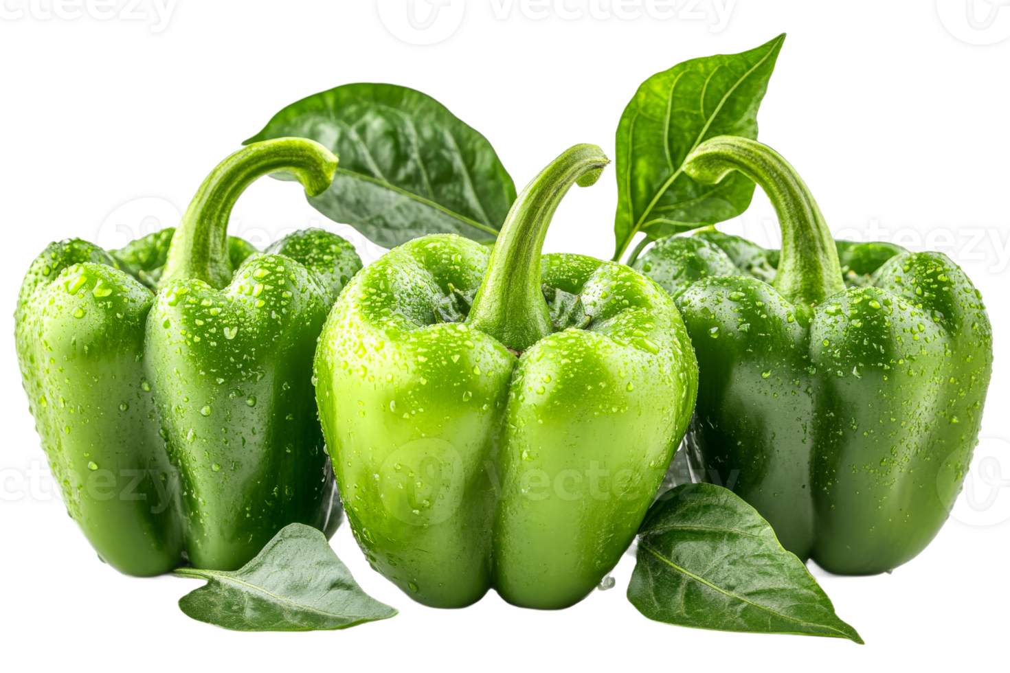 Fresh green bell peppers with water droplets, cut out transparent png