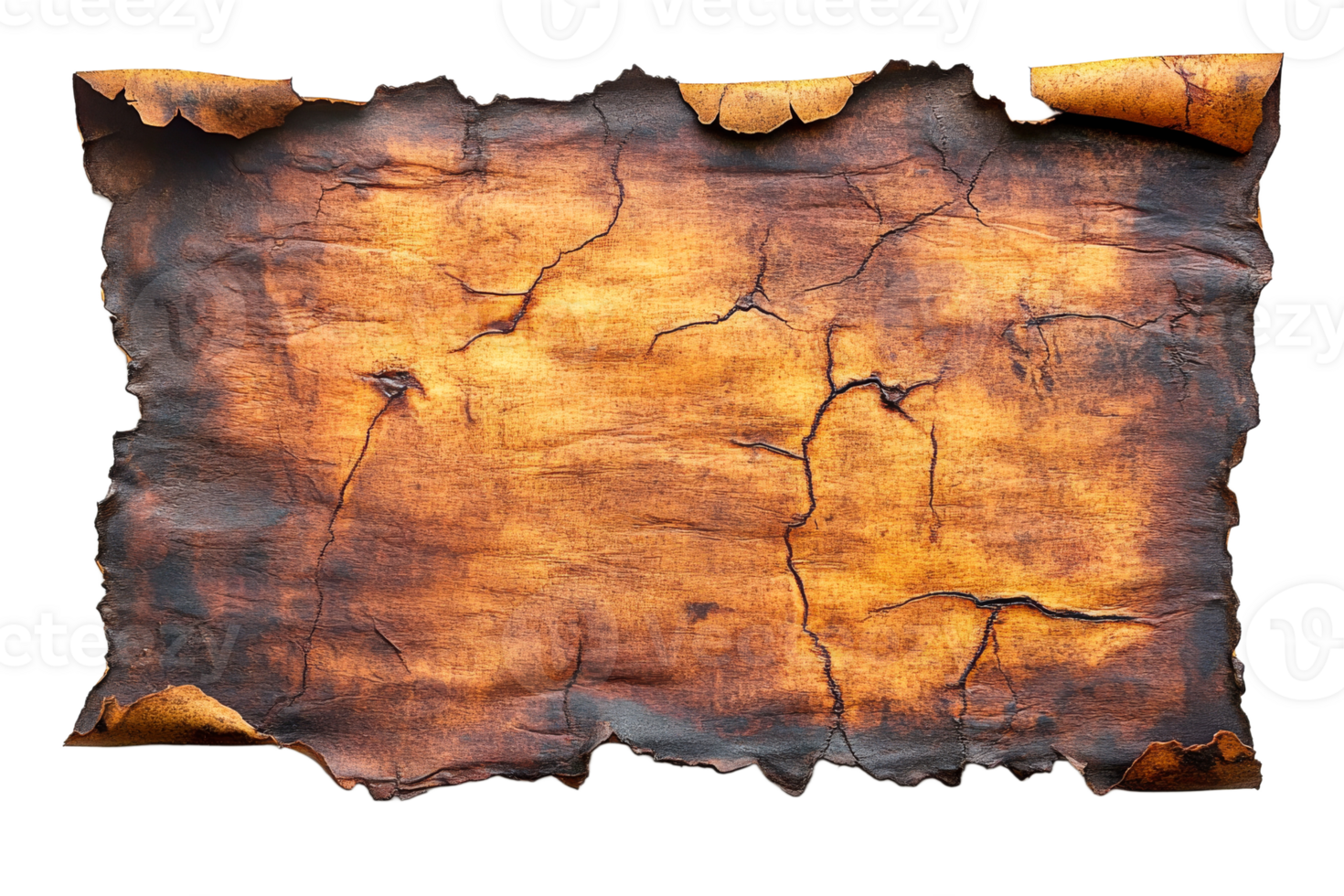 Vintage burnt parchment paper background for texture, cut out transparent png