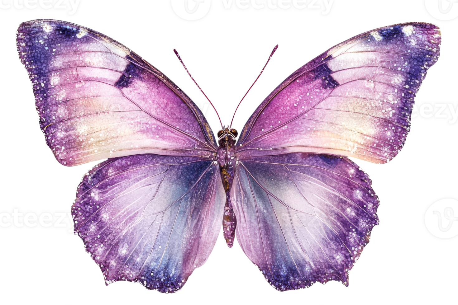 Butterfly with purple and pink watercolor wings , cut out transparent png