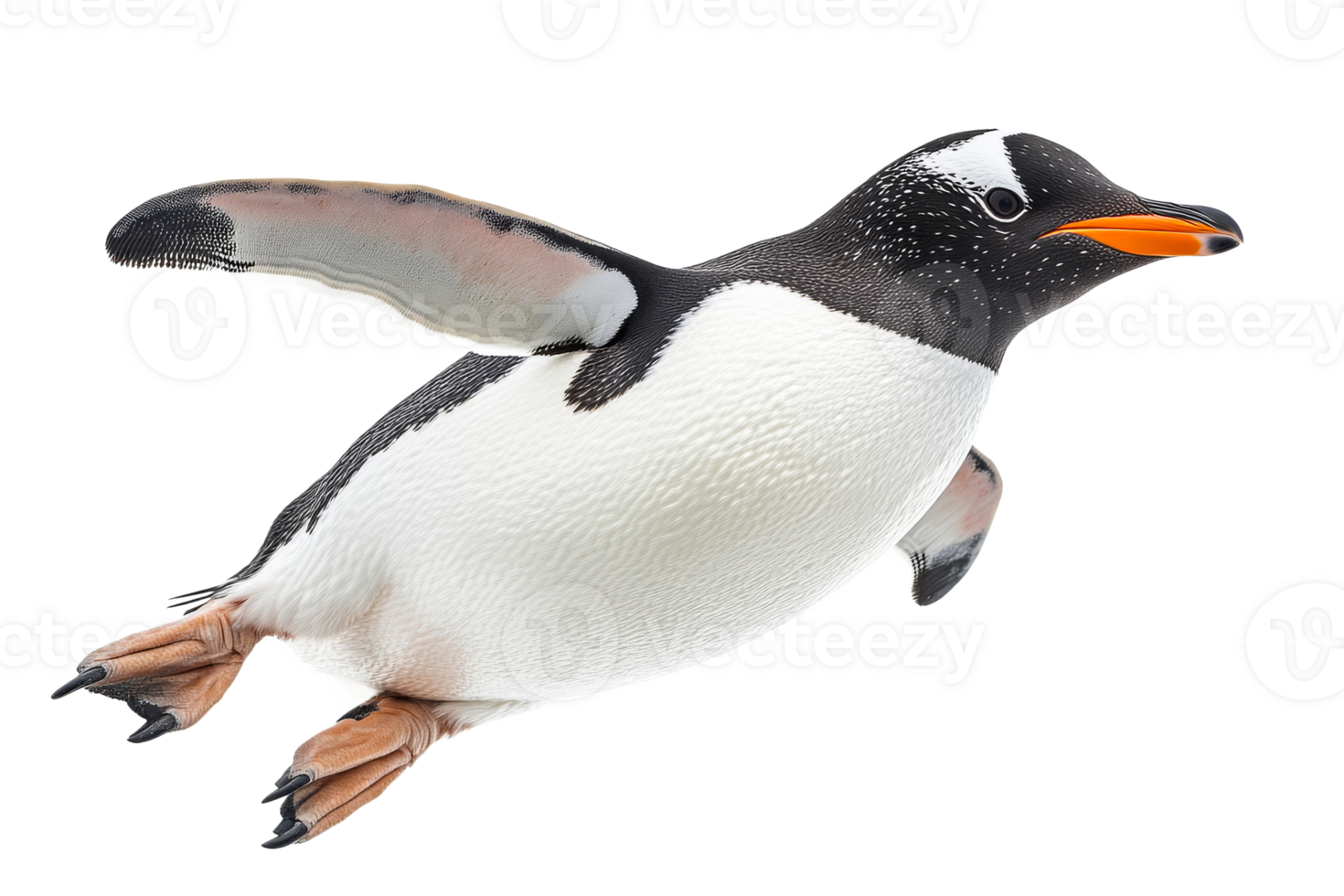 Penguin gracefully glides, ocean creature's sleek plumage, cut out transparent png