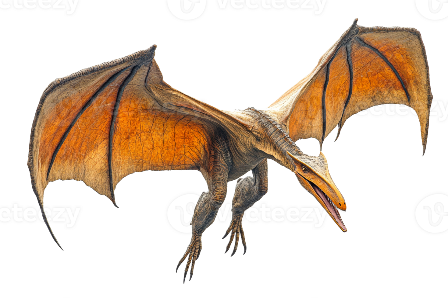 A full body Pterodactyl with wings spread, flying, close up, cut out transparent png