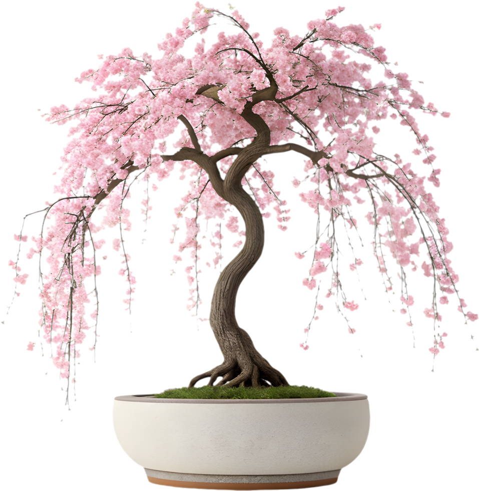 Artistic Digital Cherry Blossom Tree Painting. . png