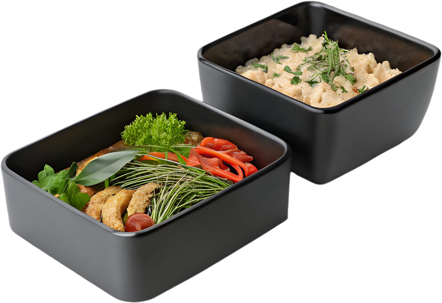 Seasonal and Plant-based Meals for a Greener Planet. . png