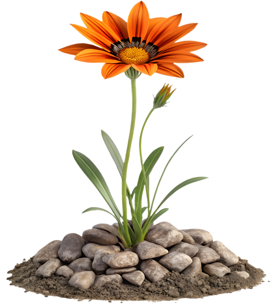 Artistic Gazania Flower Illustration in Bold and Vibrant Colors. . png