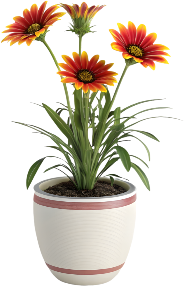 Stunning Gazania Flower Clipart in Vivid Red, Yellow, and Orange. . png