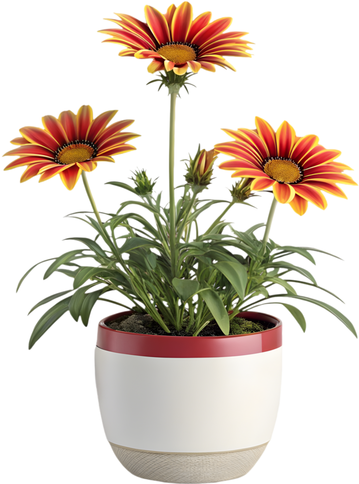 Bright Gazania Flower Design with Artistic Floral Elements. . png