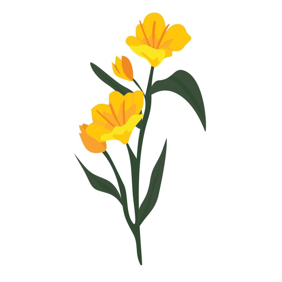 Sunny California Poppy Blossoms Warm Yellow Wildflowers in Nature spring vector